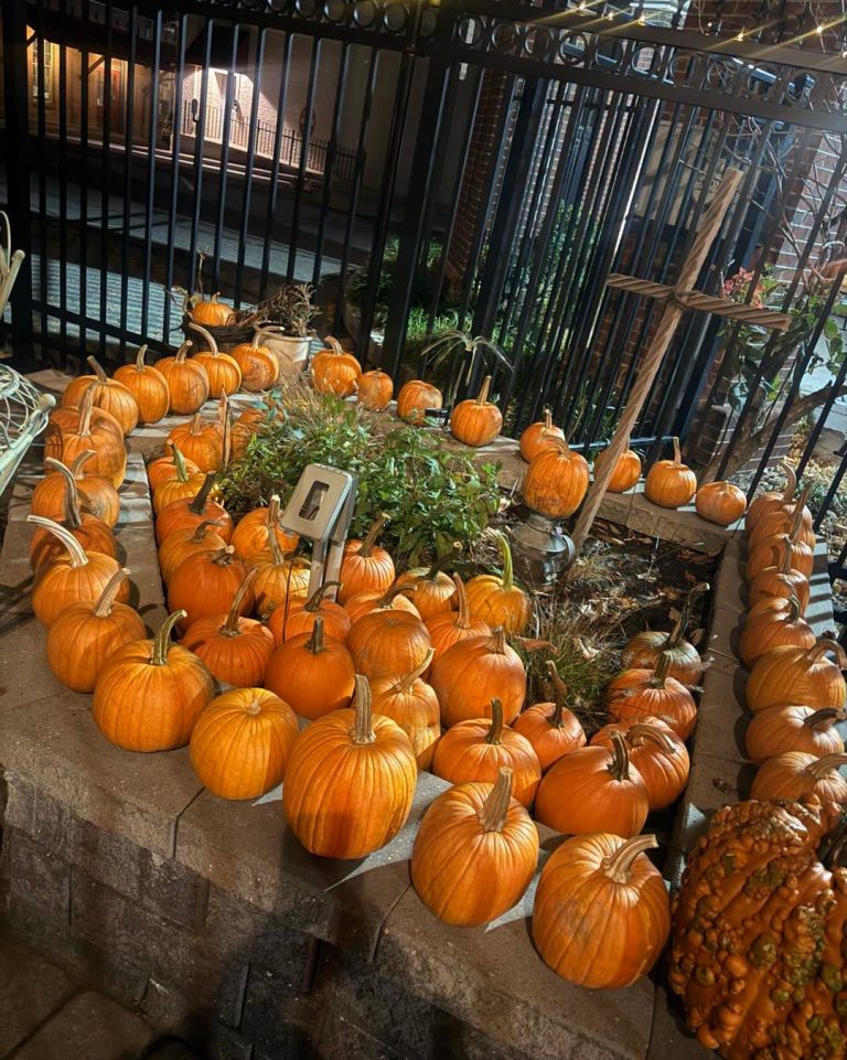 Home Goodies Hosts Pumpkin Carving Before Thursday’s Parade